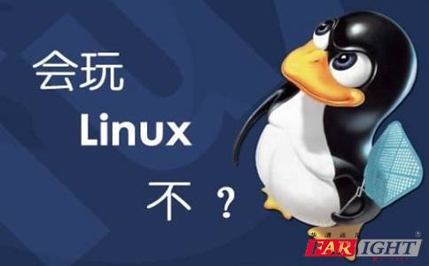 linux describe linux describe命令_源文件