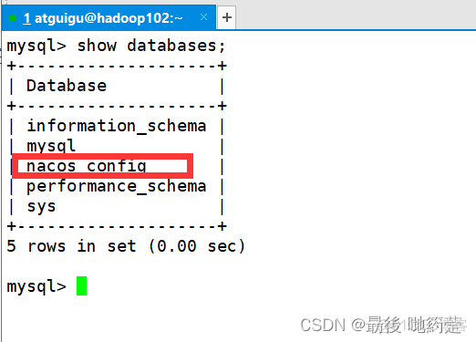 Nacos 实现 mysql 轮训 nacos连接mysql配置_spring cloud_14