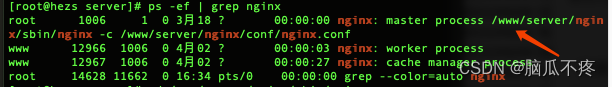 nginx开始请求临时缓存文件 nginx启动文件_nginx