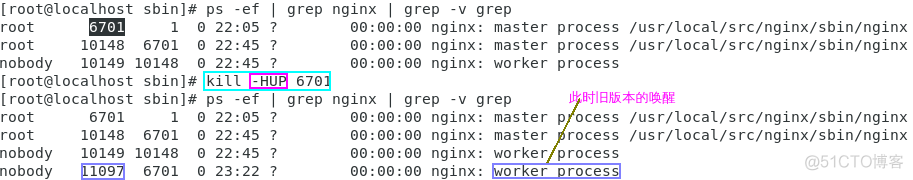 nginx热升级 nginx热更新原理_linux_11