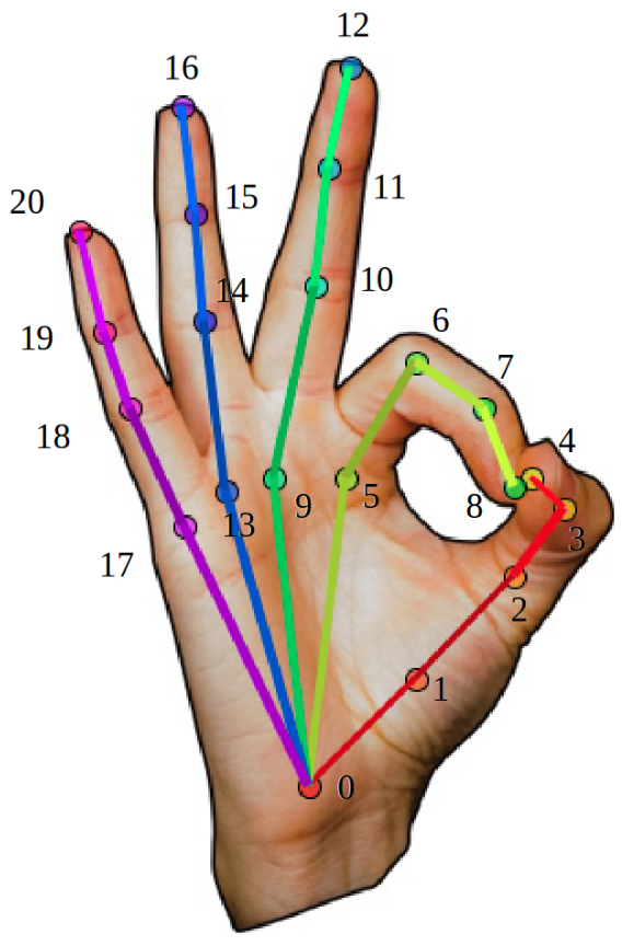opencv手势识别 opencv手势识别及骨架_opencv手势识别_04