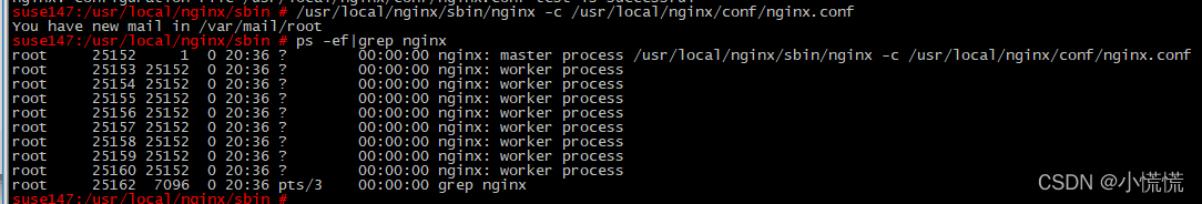 nginx ipv6 module下载 nginx安装ipv6模块_IP_11