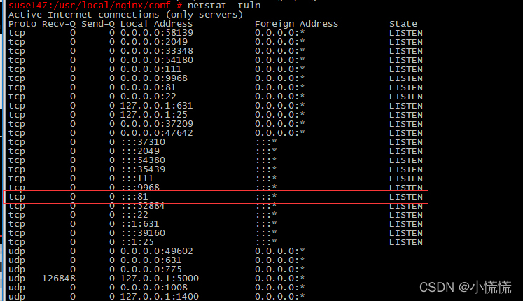 nginx ipv6 module下载 nginx安装ipv6模块_IP_14