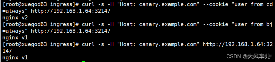 ingress端口能改吗 ingress controller_nginx_13