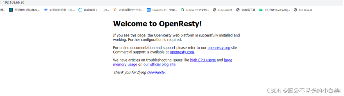 OpenResty 添加插件 openresty 开发_lua_26