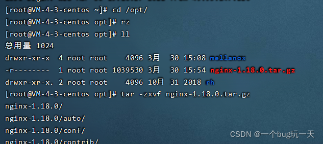 linux 安装多台nginx linux安装部署nginx_Nginx