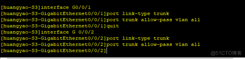 给端口配置vlan vlantrunk端口配置_连通性_19