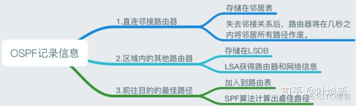 ospf基础配置实验 ospf实验原理_链路_12