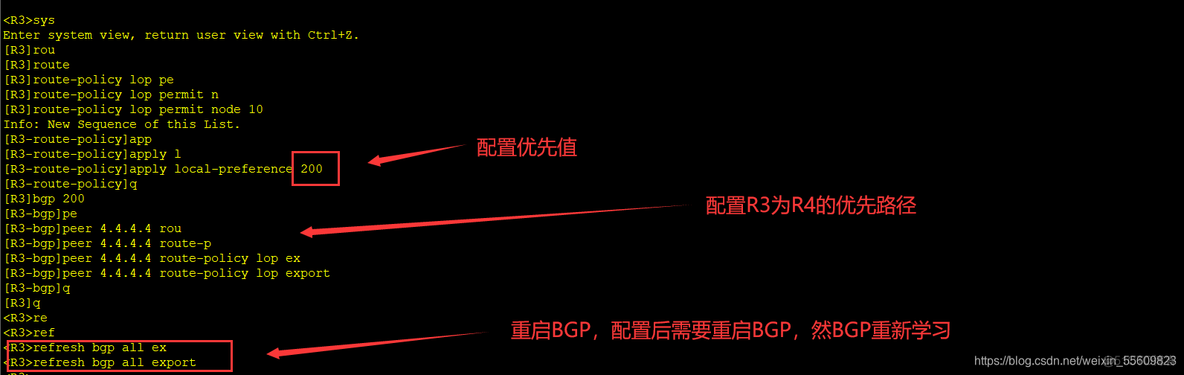 MetalLB BGP模式 bgp multipath_ospf_04