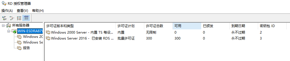 windows remote desktop service 授权激活 windows server 2016 rd授权过期_服务器管理_19