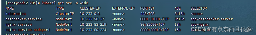 k3s 配置nginx k8s 启动nginx_nginx_23