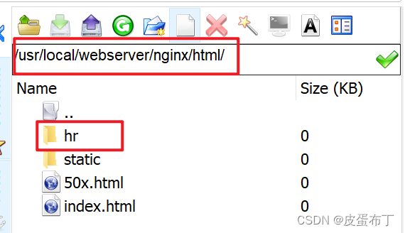 一台nginx 可以监听多个域名的443请求吗 nginx多端口监听_centos_04