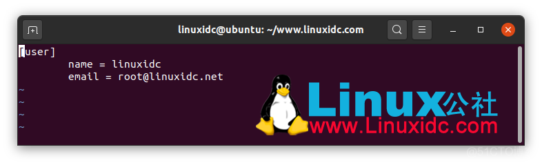 gitlab ubuntu安装 ubuntu系统安装git_linux_05