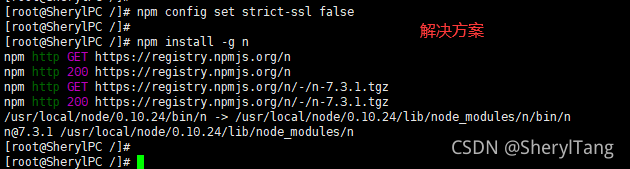 centos node 发布前端项目 centos nodejs安装及环境配置_解决方案_07