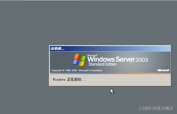 windowsserver镜像下载 windowsserver2003镜像文件_服务器_29