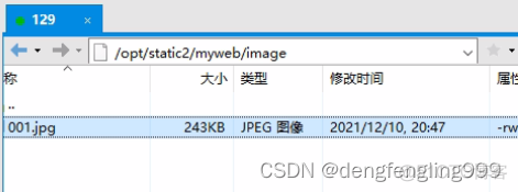 nginx 静态资源拦截 nginx过滤静态资源_Nginx_41