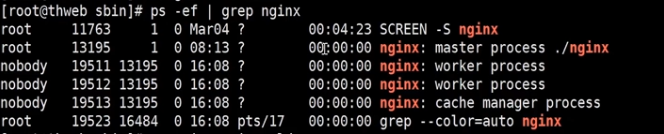 重载nginx配置文件 nginx 重载_二进制文件