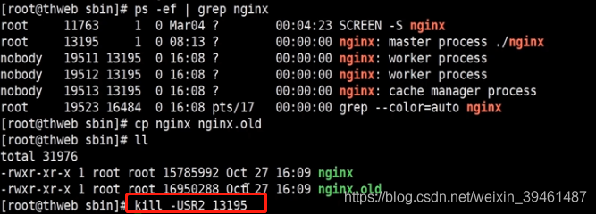 重载nginx配置文件 nginx 重载_nginx_02