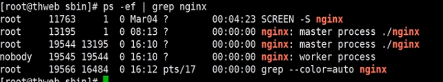 重载nginx配置文件 nginx 重载_二进制文件_04