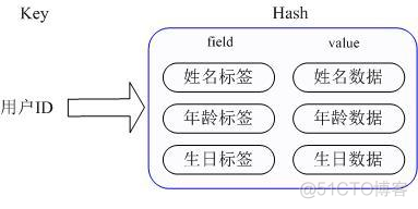 redis 数据类型 结构 redis数据类型详解_Redis_05