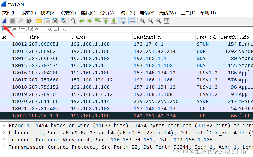 wireshark 过滤rtsp wireshark 过滤icmp_网络安全_05