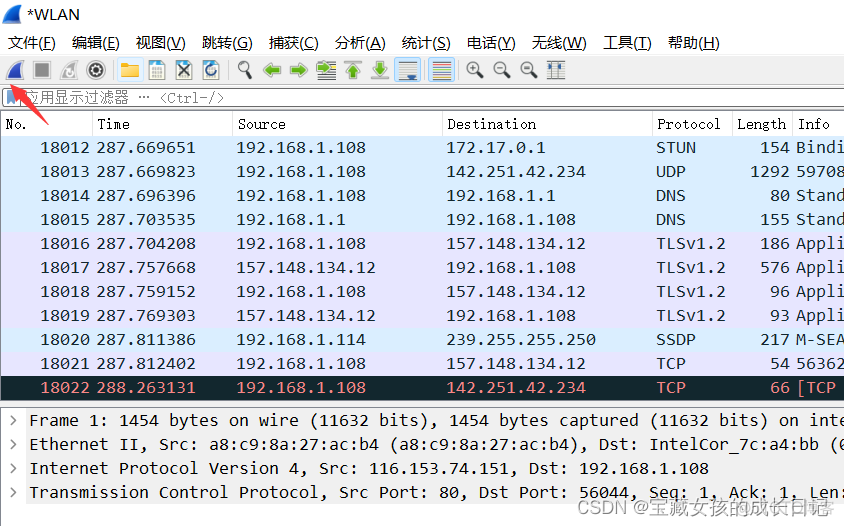 wireshark 过滤rtsp wireshark 过滤icmp_网络安全_05