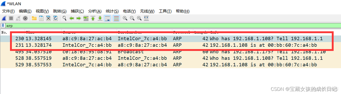 wireshark 过滤rtsp wireshark 过滤icmp_网络安全_15