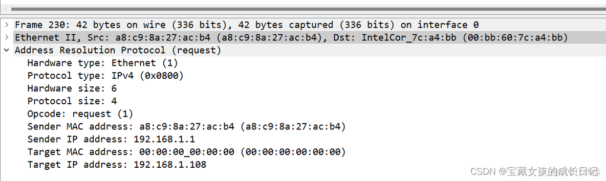 wireshark 过滤rtsp wireshark 过滤icmp_wireshark 过滤rtsp_16