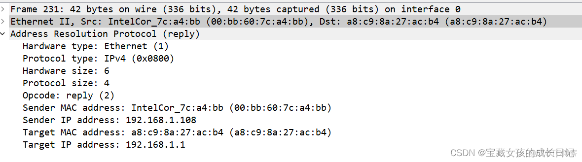 wireshark 过滤rtsp wireshark 过滤icmp_wireshark 过滤rtsp_17