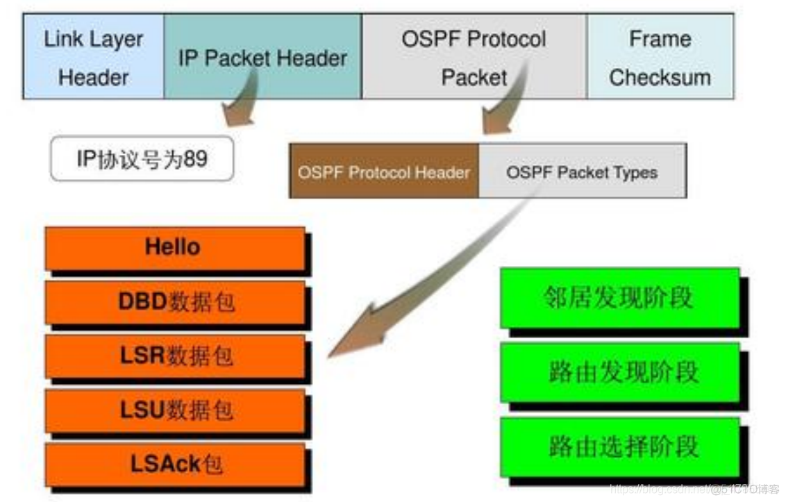 ospf路由汇总配置命令 ospf路由汇总三个条件_OSPF_03