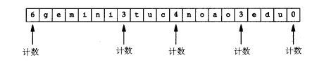 DNS报文Additional records 可以放多个OPT dns报文类型_数据_04