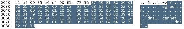 DNS报文Additional records 可以放多个OPT dns报文类型_DNS_07