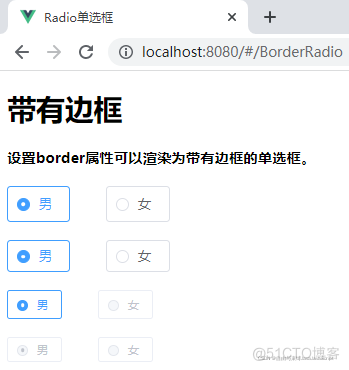 Element UI之Radio单选框组样式 radio单选框组实现_可选值_04