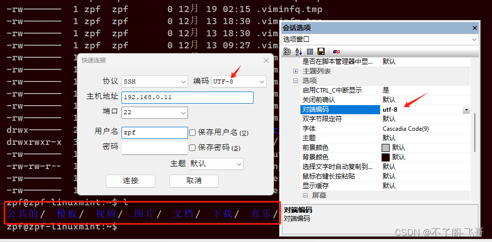 VxTerm:SSH工具中的中文显示和乱码时的相关信息和一些基本的知识_客户端