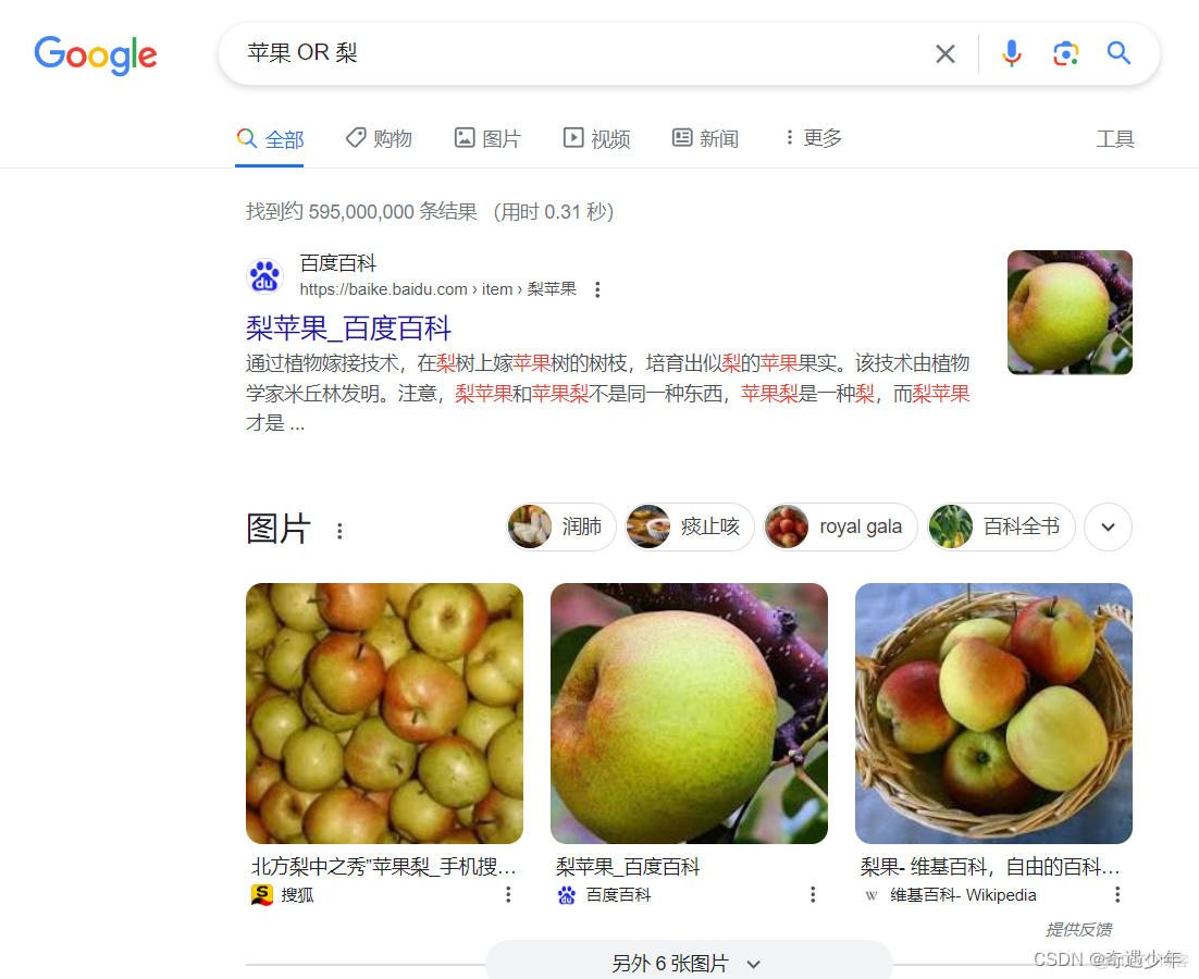 掌握Google搜索操作符：成为搜索领域的行家里手_搜索_12