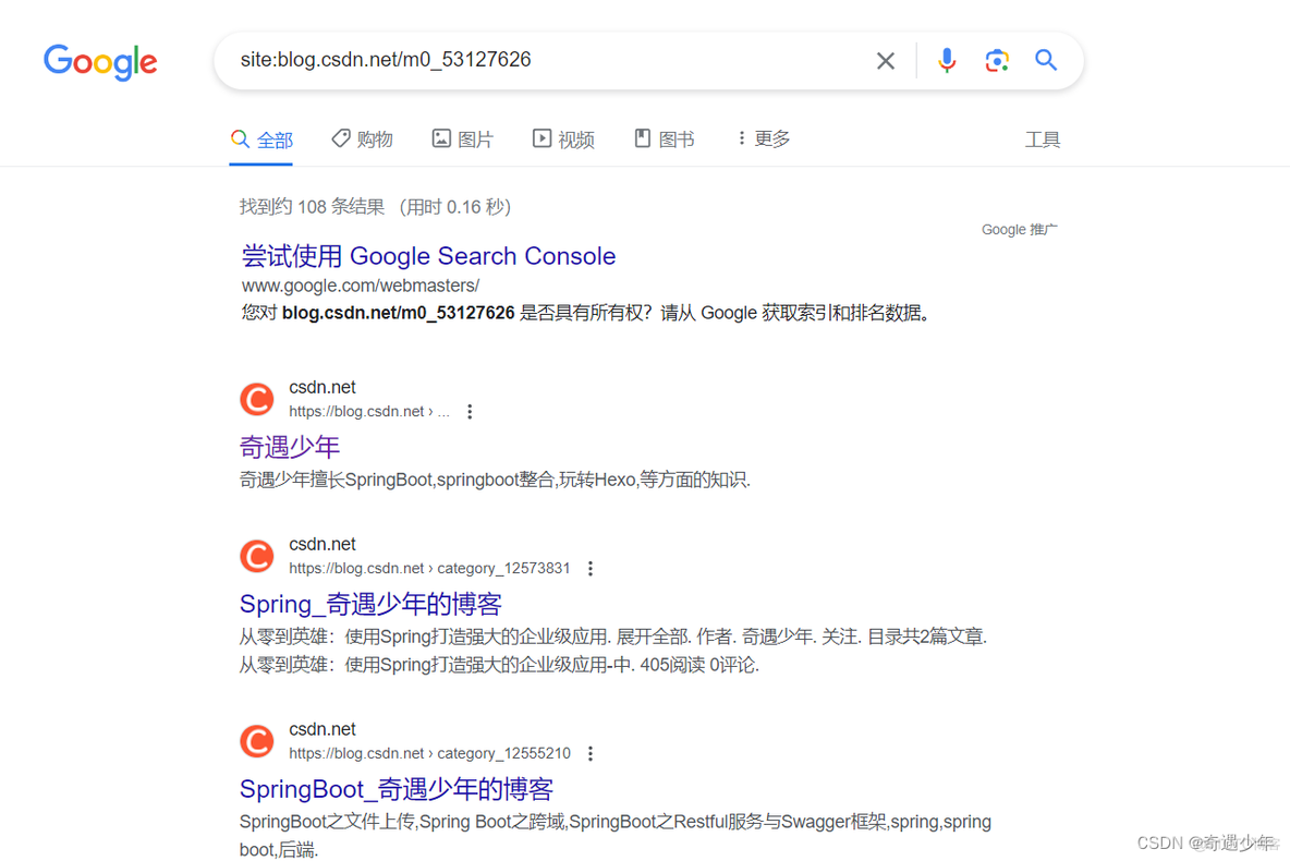 掌握Google搜索操作符：成为搜索领域的行家里手_搜索_04