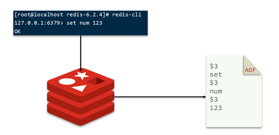 【Redis快速入门】Redis的两种持久化方式_Redis_06