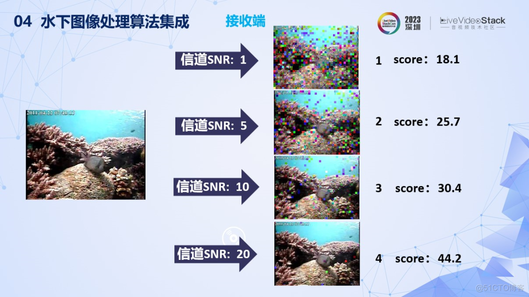 水下图像质量评价与画质增强研究_目标识别_39