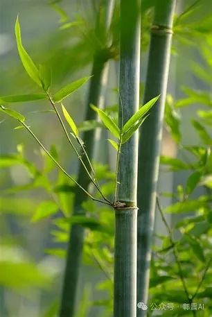 AI提示词要怎样编写_机器学习