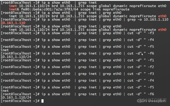 Linux文件处理工具cut_IP_02