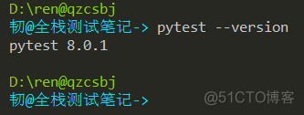 pytest简易教程（01）：pytest介绍及基本使用_用例_06