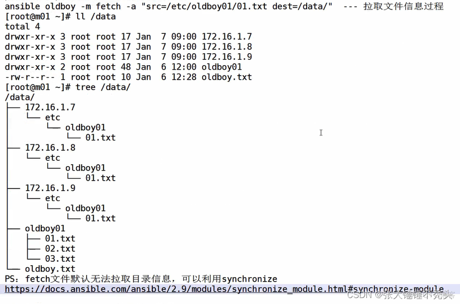 ansible批量修改MySQL数据库密码 ansible批量修改文件_服务器_03