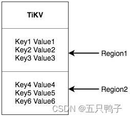 tidb集群部署 docker tidb架构_架构_06