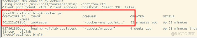 docker zookeeper 集群配置 docker安装zookeeper集群_服务器_02