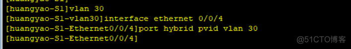 vlan的hybrid vlan的hybrid口_链路_28