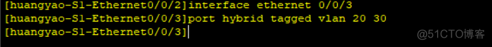 vlan的hybrid vlan的hybrid口_链路_31