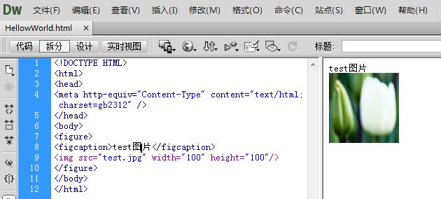 html5 button換行 html5的换行标签_字段_05