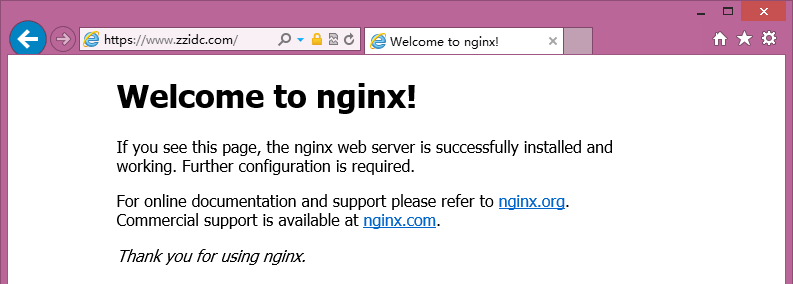 nginx 配置txt 证书 nginx证书链_ci_02