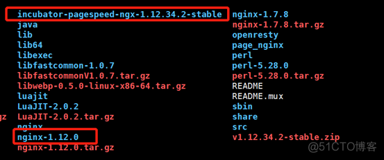 Nginx error_page 代码 nginx pagespeed_nginx_02