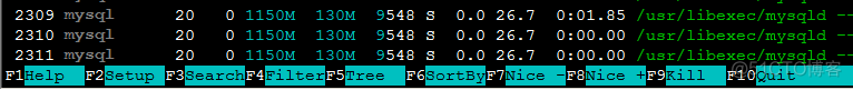 htop mem htop memory_物理内存_05